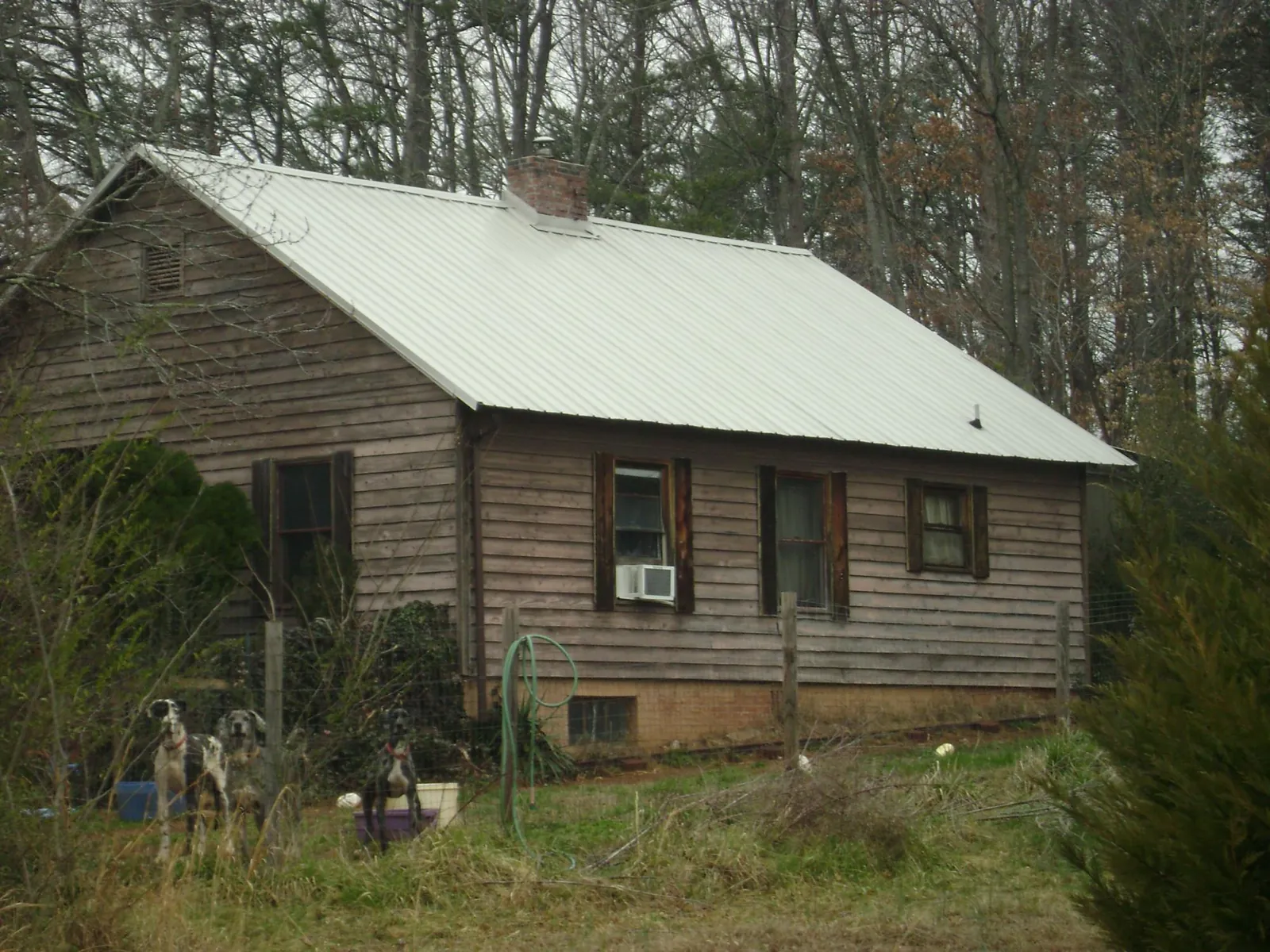 White metal roof on an old wood sided farmhouse, from a Asphalt Shingle Roof Repair job in Lima